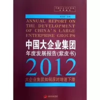 音像中国大企业集团年度发展报告中国企业评价协会