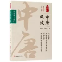 音像中唐风波(卷1)/认认真真讲历史孙峰//孙艺真