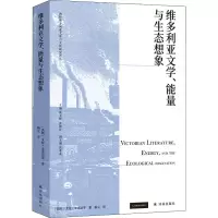 音像维多利亚文学、能量与生态想象(美)艾伦·麦克达菲