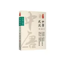 音像中唐风波(卷3)/认认真真讲历史孙峰//孙艺真