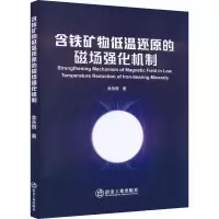 音像含铁矿物低温还原的磁场强化机制金永丽