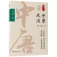 音像中唐风波(卷2)/认认真真讲历史孙峰//孙艺真
