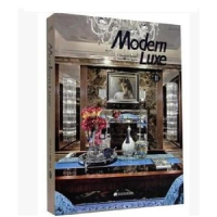 音像现代奢华:Ⅱ:Ⅱ深圳视界文化传播有限公司编