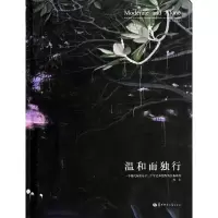 音像温和而独行肖丰