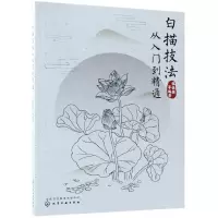 音像白描技法从入门到精通编者:张恒国
