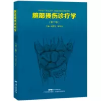 音像腕部损伤诊疗学闻善乐,闻亚非主编