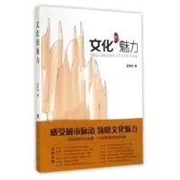 音像文化的魅力王京生著