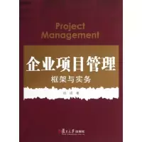 音像企业项目管理祝波