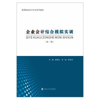 音像企业会计综合模拟实训(第3版)胡顺义,刘珣,李海洋 编