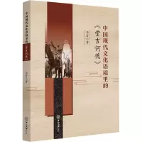 音像中国现代文化语境里的《堂吉诃德》李智