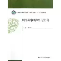 音像刑事辩护原理与实务盛高璐主编