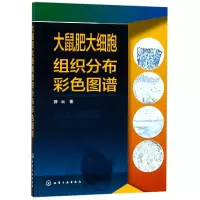 音像大鼠肥大细胞组织分布彩色图谱薛云