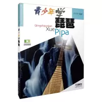 音像青少年学琵琶/青少年学音乐系列丛书编者:庄永平