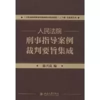 音像刑事指导案例裁判要旨集成陈兴良编