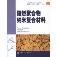 音像阻燃聚合物纳米复合材料[美]A.B.Morgan,[美]C.A.Wilkie[著]