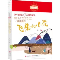 音像飞来的小花凡夫