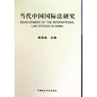 音像当代中国国际法研究陈泽宪
