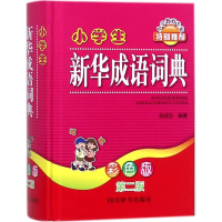 音像小学生新华成语词典徐成志 编著