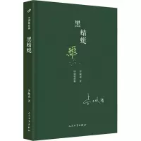音像黑蜻蜓李佩甫