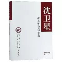 音像沈卫星文化评论集沈卫星著