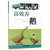 音像高效养鹅(双色印刷)/高效养殖致富直通车编者:李顺才