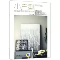 音像现代简约(小户型空间改造创意设计全书)编者:李江军