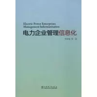 音像电力企业管理信息化李存斌 等