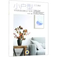 音像文艺清新(小户型空间改造创意设计全书)编者:李江军