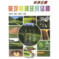 音像草坪草种及其品种韩烈保