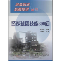 音像竖炉球团技能300问张天启