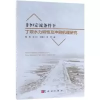 音像非恒定流条件下丁坝水力特及冲刷机理研究喻涛[等]著