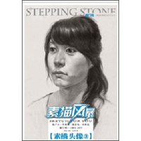 音像素描风暴王允伟