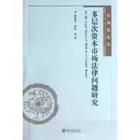 音像多层次资本市场法律问题董安 等