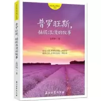 音像普罗旺斯,捕捉浪漫的故事孟语嫣著