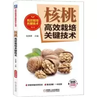 音像核桃高效栽培关键技术张美勇