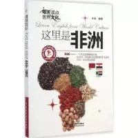 音像每天读点世界文化:这里是非洲王泉编著