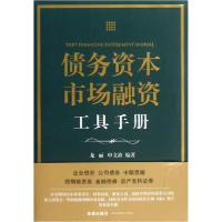 音像债务资本市场融资工具手册龙丽 等