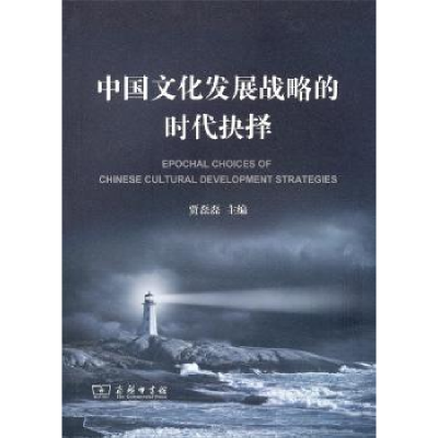 音像中国文化发展战略的时代抉择贾磊磊 主编