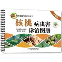 音像核桃病虫害诊治图册:全彩版张炳炎编著