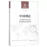 音像中国刑法(在祛魅中前行的中国刑事法律研究)/远观译丛