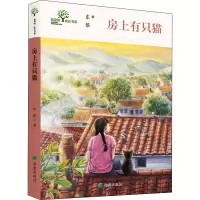 音像房上有只猫东黎