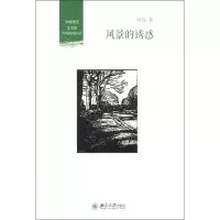 音像风景的诱惑房伟