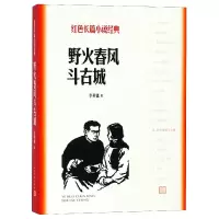 音像野火春风斗古城/红色长篇小说经典李英儒