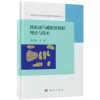 音像致密油气藏数值模拟理论与技术冉启全等著