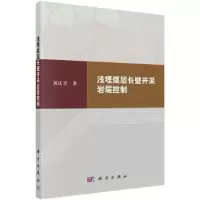 音像浅埋煤层长壁开采岩层控制黄庆享