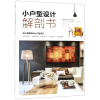 音像小户型设计解剖书编者:李江军