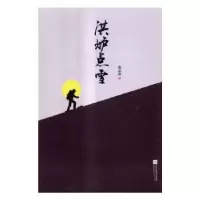 音像洪炉点雪沈志洪著