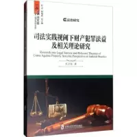 音像司法实践视阈下财产犯罪法益及相关理论研究杜文俊