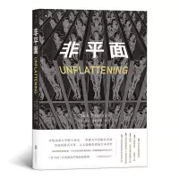 音像非平面[美] 尼克·索萨尼斯