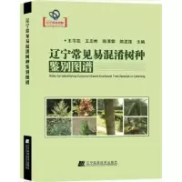 音像辽宁常见易混淆树种鉴别图谱王书凯[等]主编